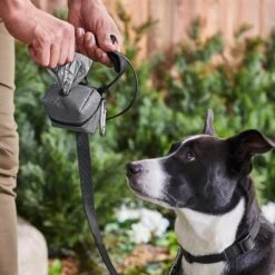 Frisco Large Size Dog Poop Bags With Fabric Dispenser -Paws Joy Outlet Store 237013 PT6. AC SS1800 V1610762789