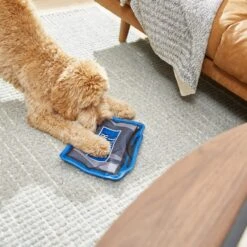 Frisco Zoomies & Chill TV Flat Plush Squeaky Dog Toy -Paws Joy Outlet Store 241685 PT6. AC SS1800 V1610768399