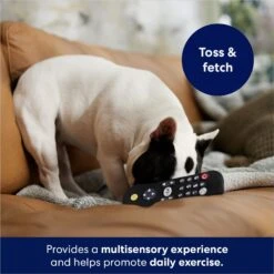 Frisco Zoomies & Chill Remote Latex Squeaky Dog Toy -Paws Joy Outlet Store 241753 PT6. AC SS1800 V1686580150