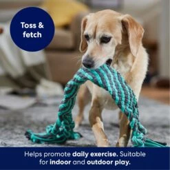 Frisco Flat Teal & Gray Braided Rope Squeaky Fetch Dog Toy -Paws Joy Outlet Store 242127 PT3. AC SS1800 V1695242179