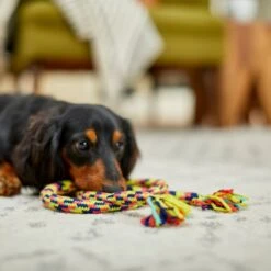 Frisco Pretzel Rope Dog Toy -Paws Joy Outlet Store 242141 PT2. AC SS1800 V1605208795