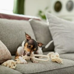 Frisco Double Knot Cotton Rope Fetch Dog Toy -Paws Joy Outlet Store 242155 PT2. AC SS1800 V1605208728