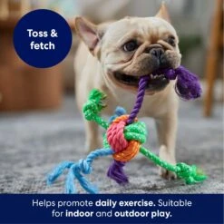 Frisco Fetch Colorful Ball Knot Rope Dog Toy -Paws Joy Outlet Store 242159 PT3. AC SS1800 V1695242179