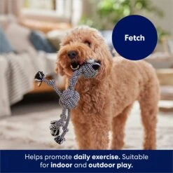 Frisco Zebra Rope Squeaky Dog Toy -Paws Joy Outlet Store 242163 PT3. AC SS1800 V1691785245