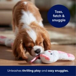 Frisco Bunny Plush Squeaky Puppy Toy -Paws Joy Outlet Store 245916 PT3. AC SS1800 V1695760959