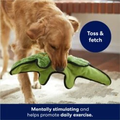 Frisco Alligator Stuffing-Free Flat Plush Squeaky Dog Toy -Paws Joy Outlet Store 245943 PT2. AC SS1800 V1678723898