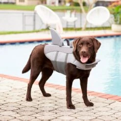 Frisco Shark Dog Life Jacket -Paws Joy Outlet Store 247887 PT7. AC SS1800 V1616505777