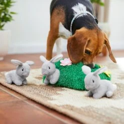 Frisco Spring Bunny Burrow Hide & Seek Plush Squeaky Dog Toy 10 Frisco Spring Bunny Burrow Hide & Seek Plush Squeaky Dog Toy -Paws Joy Outlet Store 248039 PT5. AC SS1800 V1608767863