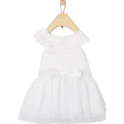 Frisco Formal Dog Wedding Dress -Paws Joy Outlet Store 248743 PT3. AC SS1800 V1613666589