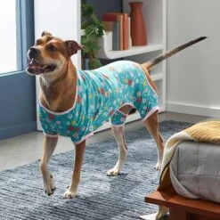 Frisco Teal Floral Dog & Cat Jersey PJs -Paws Joy Outlet Store 249132 PT5. AC SS1800 V1637725019