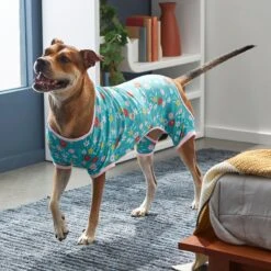Frisco Teal Floral Dog & Cat Jersey PJs -Paws Joy Outlet Store 249132 PT7. AC SS1800 V1614376401