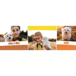 Frisco Double Walled Colored Dots Personalized Tumbler, 30-oz Cup -Paws Joy Outlet Store 249349 PT2. AC SS1800 V1602683766