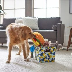 Frisco Rectangle Collapsible Pet Toy Storage Bin, Yellow Geometric -Paws Joy Outlet Store 250578 PT3. AC SS1800 V1615572198