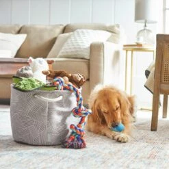 Frisco Round Collapsible Pet Toy Storage Bin, Gray Basket Weave -Paws Joy Outlet Store 250585 PT3. AC SS1800 V1615572111