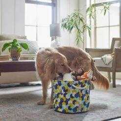 Frisco Round Collapsible Pet Toy Storage Bin, Yellow Geometric -Paws Joy Outlet Store 250587 PT3. AC SS1800 V1615572147