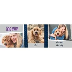 Frisco Double Walled "Dog Mom" Personalized Tumbler, 30-oz Cup -Paws Joy Outlet Store 250741 PT2. AC SS1800 V1602689509
