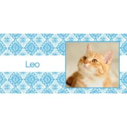 Frisco Double Walled Boho Damask Personalized Tumbler, 30-oz Cup 7 Frisco Double Walled Boho Damask Personalized Tumbler, 30-oz Cup -Paws Joy Outlet Store 250749 PT2. AC SS1800 V1606680445