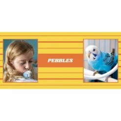 Frisco Double Walled Preppy Stripes Personalized Tumbler, 30-oz Cup -Paws Joy Outlet Store 250751 PT2. AC SS1800 V1606678620