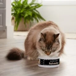 Frisco "Paws Off" Ceramic Personalized Dog & Cat Bowl -Paws Joy Outlet Store 250829 PT3. AC SS1800 V1610767170