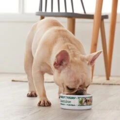 Frisco Boho Damask Ceramic Personalized Dog & Cat Bowl -Paws Joy Outlet Store 250833 PT3. AC SS1800 V1610758070