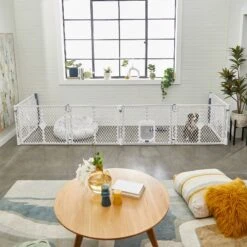 Frisco 6-Panel Plastic Exercise Dog Playpen, Light Gray 14 Frisco 6-Panel Plastic Exercise Dog Playpen, Light Gray -Paws Joy Outlet Store 252045 PT6. AC SS1800 V1611090517