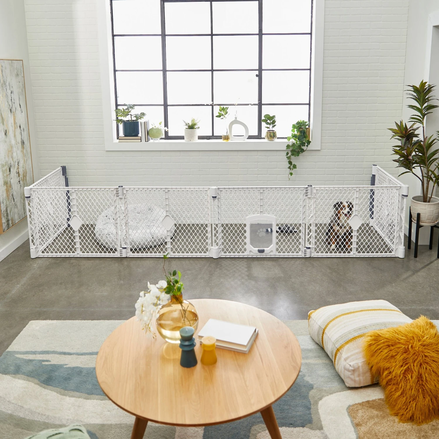 Frisco 6-Panel Plastic Exercise Dog Playpen, Light Gray 7 Frisco 6-Panel Plastic Exercise Dog Playpen, Light Gray - Image 7