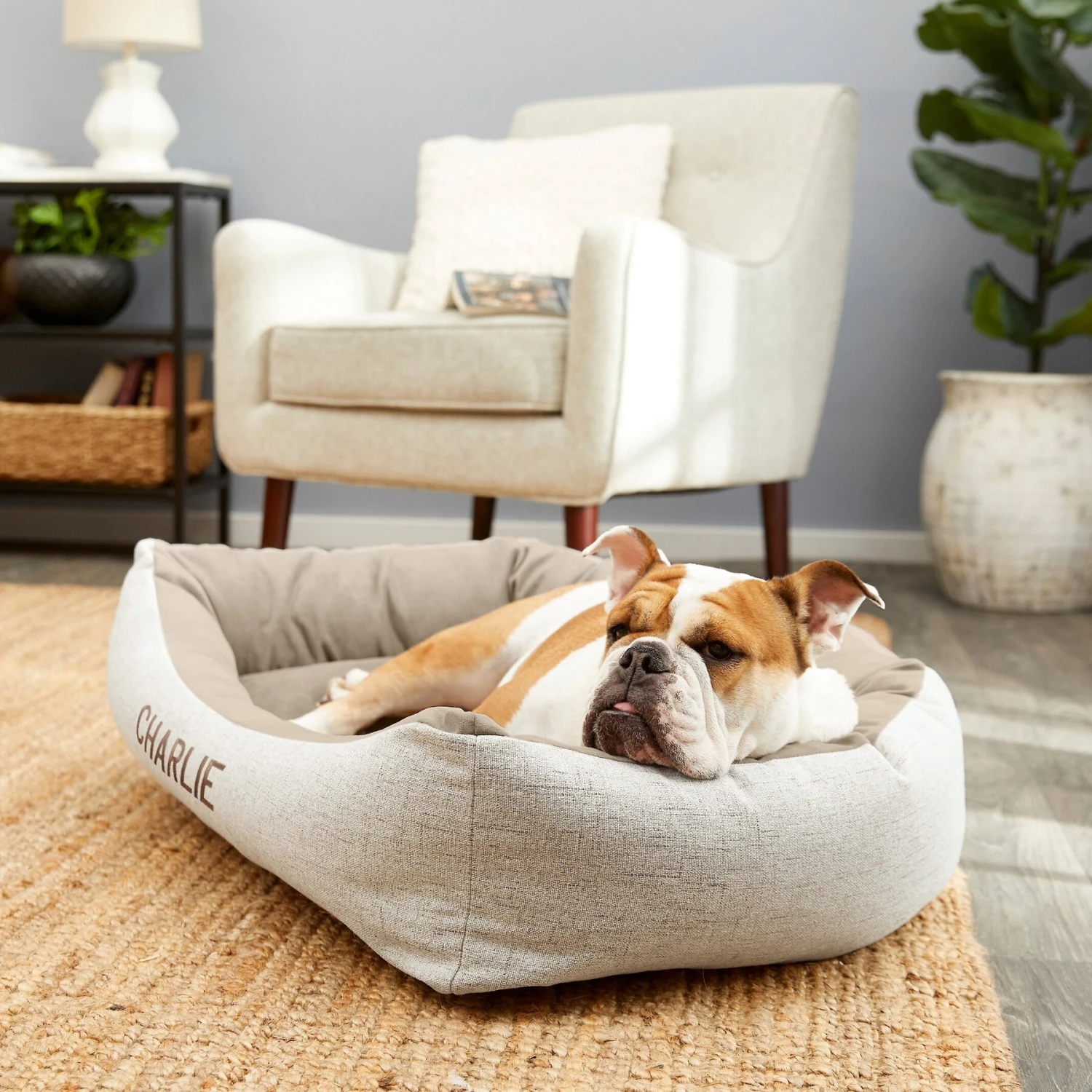 Frisco Rectangular Personalized Bolster Dog Bed W/Removable Cover, Beige, Medium 1 Frisco Rectangular Personalized Bolster Dog Bed W/Removable Cover, Beige, Medium