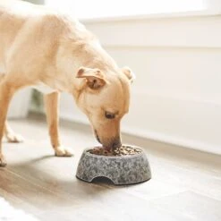 Frisco Black Marble Design Stainless Steel Dog & Cat Bowl 11 Frisco Black Marble Design Stainless Steel Dog & Cat Bowl -Paws Joy Outlet Store 253048 PT2. AC SS1800 V1616526446