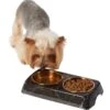Frisco Copper Stainless Steel Double Dog & Cat Bowls With Black Marble Stand