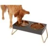 Frisco Copper Stainless Steel Elevated Foldable Double Dog & Cat Bowls