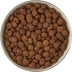 Frisco Gold Trim Melamine Dog & Cat Bowl 14 Frisco Gold Trim Melamine Dog & Cat Bowl -Paws Joy Outlet Store 253062 PT5. AC SS1800 V1616595396