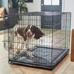 Frisco Self Warming Dog Crate Mat 11 Frisco Self Warming Dog Crate Mat -Paws Joy Outlet Store 255337 PT5. AC SS1800 V1616102293
