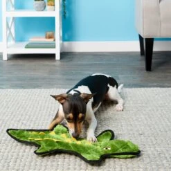 Frisco Alligator Stuffing-Free Flat Plush Squeaky Dog Toy & Frisco Raccoon Stuffing-Free Flat Plush Squeaky Dog Toy -Paws Joy Outlet Store 255471 PT2. AC SS1800 V1602691584