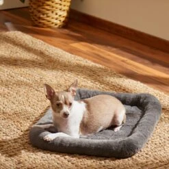 Frisco Fold & Carry Single Door Collapsible Wire Dog Crate & Frisco Quilted Plush Dog Crate Mat -Paws Joy Outlet Store 255501 PT4. AC SS1800 V1604097719