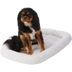 Frisco Heavy Duty Fold & Carry Single Door Collapsible Wire Dog Crate & Frisco Quilted Dog Crate Mat -Paws Joy Outlet Store 255551 PT4. AC SS1800 V1604096523