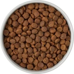 Frisco Ceramic Food Dog & Cat Bowl With Wood Base 10 Frisco Ceramic Food Dog & Cat Bowl With Wood Base -Paws Joy Outlet Store 256043 PT6. AC SS1800 V1615311151