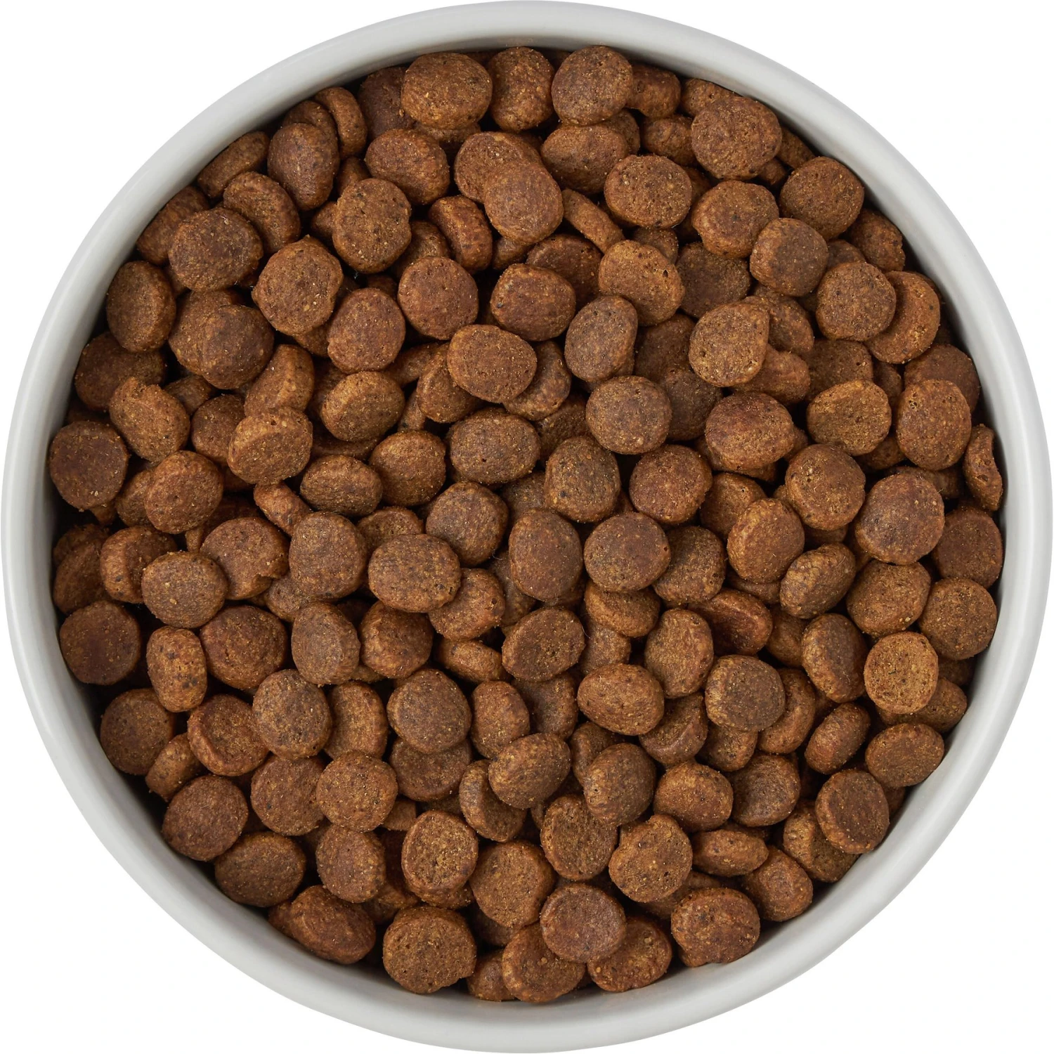 Frisco Ceramic Food Dog & Cat Bowl With Wood Base 5 Frisco Ceramic Food Dog & Cat Bowl With Wood Base - Image 5