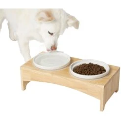 Frisco Ceramic Dog & Cat Double Diner With Elevated Wood Stand