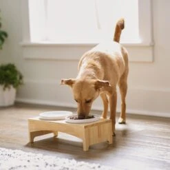 Frisco Ceramic Dog & Cat Double Diner With Elevated Wood Stand 8 Frisco Ceramic Dog & Cat Double Diner With Elevated Wood Stand -Paws Joy Outlet Store 256052 PT2. AC SS1800 V1615311142