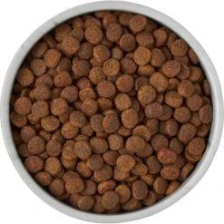 Frisco Marble Design Non-skid Ceramic Dog & Cat Bowl 13 Frisco Marble Design Non-skid Ceramic Dog & Cat Bowl -Paws Joy Outlet Store 256056 PT6. AC SS1800 V1615310860