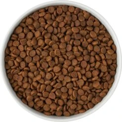 Frisco Paw Prints Non-skid Ceramic Bowl -Paws Joy Outlet Store 256072 PT5. AC SS1800 V1615312318