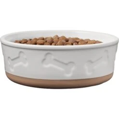 Frisco Bones Non-skid Ceramic Dog & Cat Bowl -Paws Joy Outlet Store 256074 PT3. AC SS1800 V1615313594