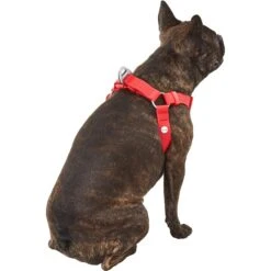 Frisco Outdoor Solid Textured Waterproof Stink Proof PVC Dog Harness -Paws Joy Outlet Store 256518 PT3. AC SS1800 V1625164999