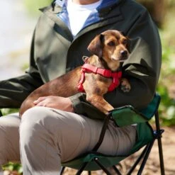 Frisco Outdoor Solid Textured Waterproof Stink Proof PVC Dog Harness -Paws Joy Outlet Store 256518 PT5. AC SS1800 V1625587387