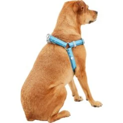 Frisco Outdoor Two Tone Waterproof Stinkproof PVC Dog Harness -Paws Joy Outlet Store 256580 PT3. AC SS1800 V1625164715