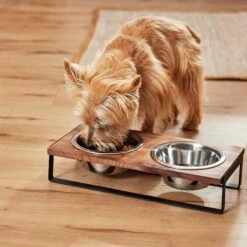 Frisco Wood Elevated Non-Skid Stainless Steel Double Diner Dog & Cat Bowl -Paws Joy Outlet Store 257143 PT3. AC SS1800 V1615987292