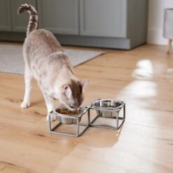 Frisco Elevated Diamond Stainless Steel Double Diner Dog & Cat Bowl -Paws Joy Outlet Store 257147 PT5. AC SS1800 V1615989105