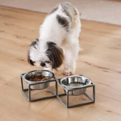 Frisco Elevated Diamond Stainless Steel Double Diner Dog & Cat Bowl -Paws Joy Outlet Store 257147 PT8. AC SS1800 V1615840442