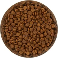 Frisco Flare Non-Skid Stainless Steel Dog & Cat Bowl -Paws Joy Outlet Store 257162 PT4. AC SS1800 V1612366692