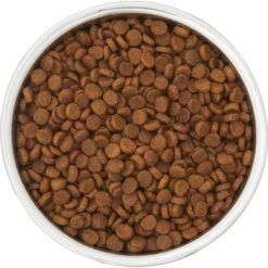 Frisco Insulated Two-Toned Non-Skid Stainless Steel Dog & Cat Bowl -Paws Joy Outlet Store 257168 PT4. AC SS1800 V1612367255